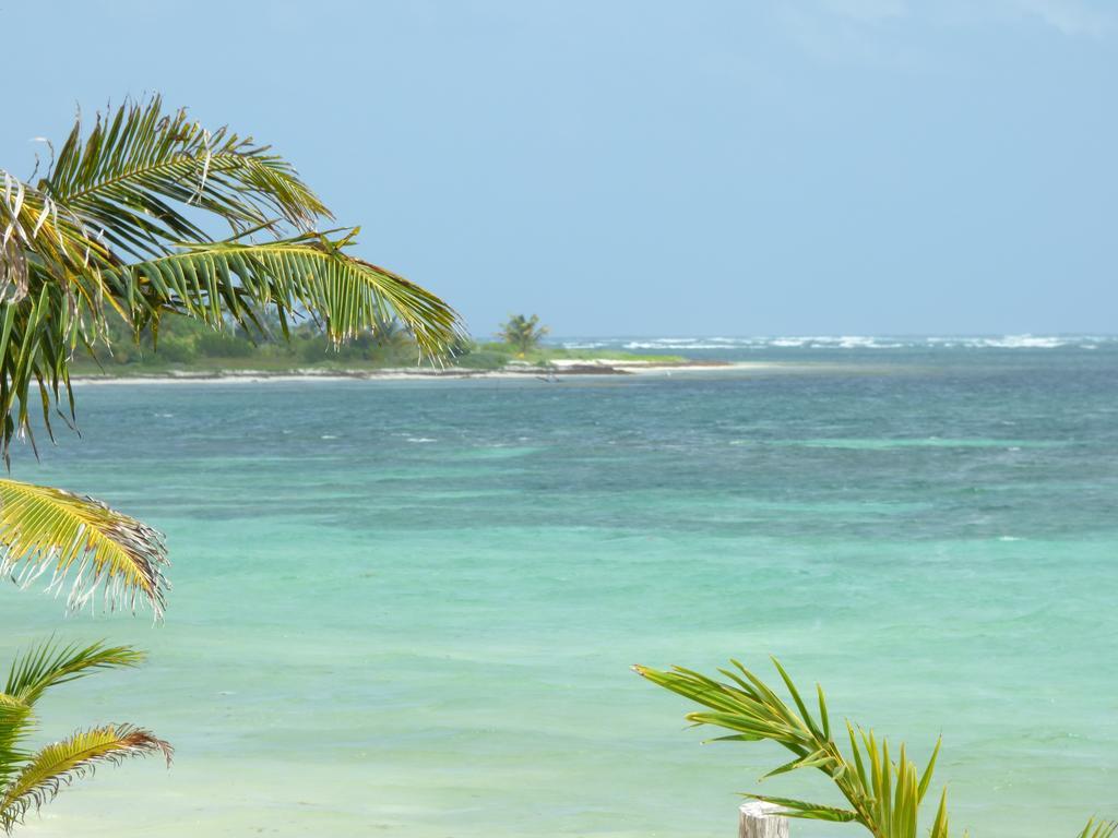 Mayan Beach Garden El Placer Bagian luar foto