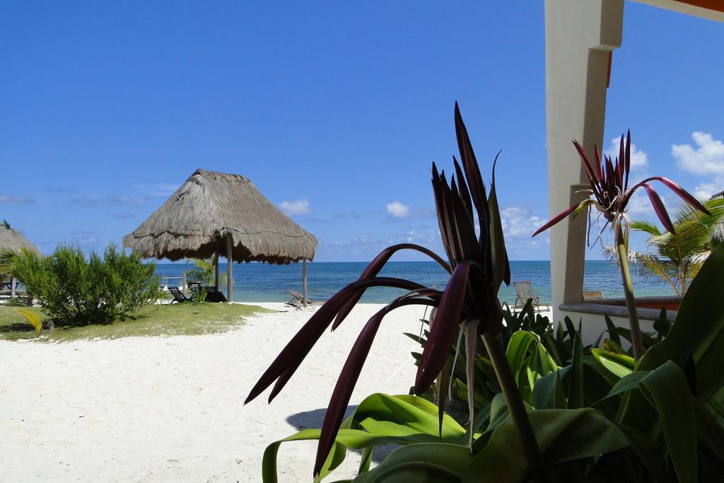 Mayan Beach Garden El Placer Bagian luar foto